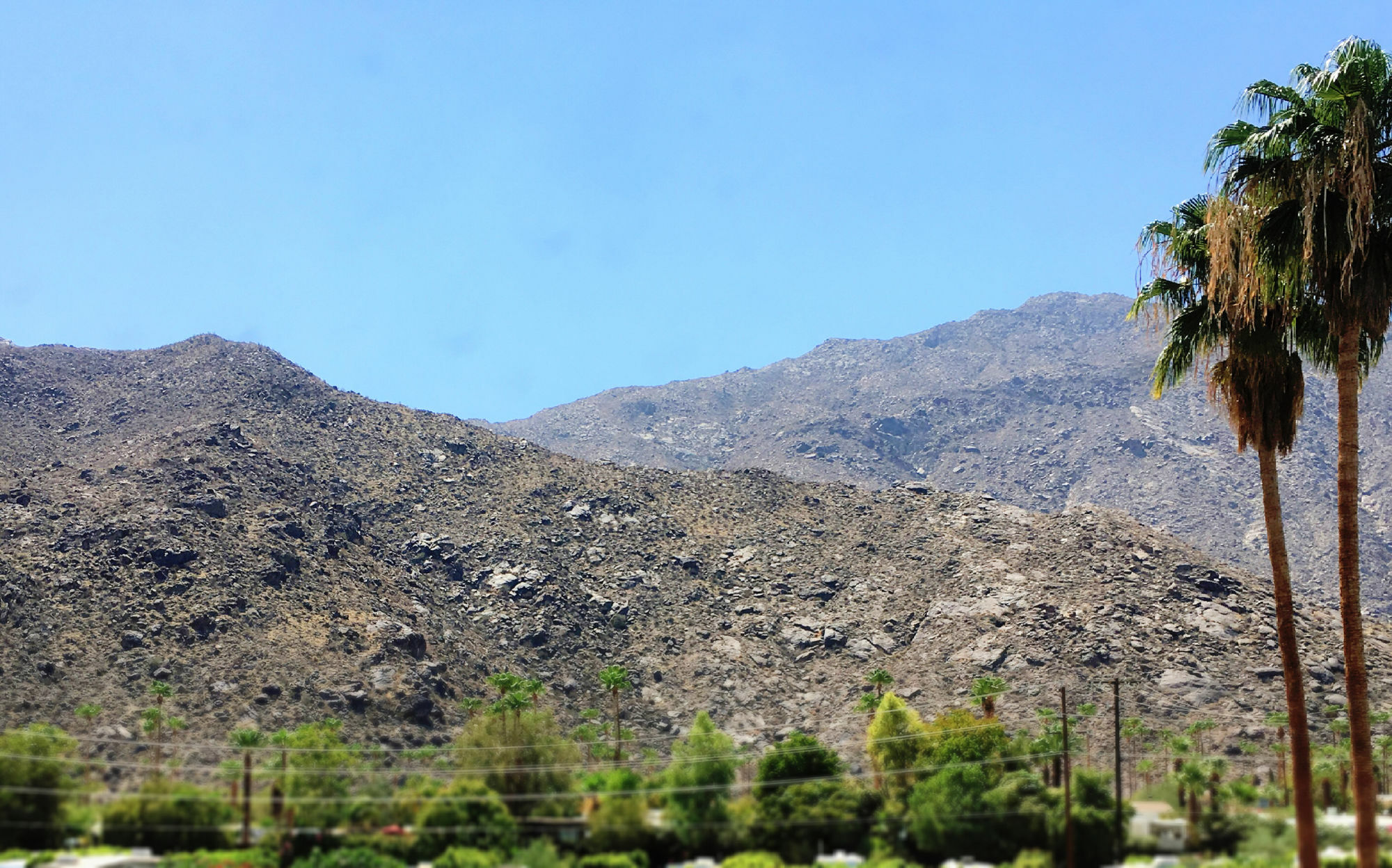 Delos Reyes Palm Springs Motel Exterior photo